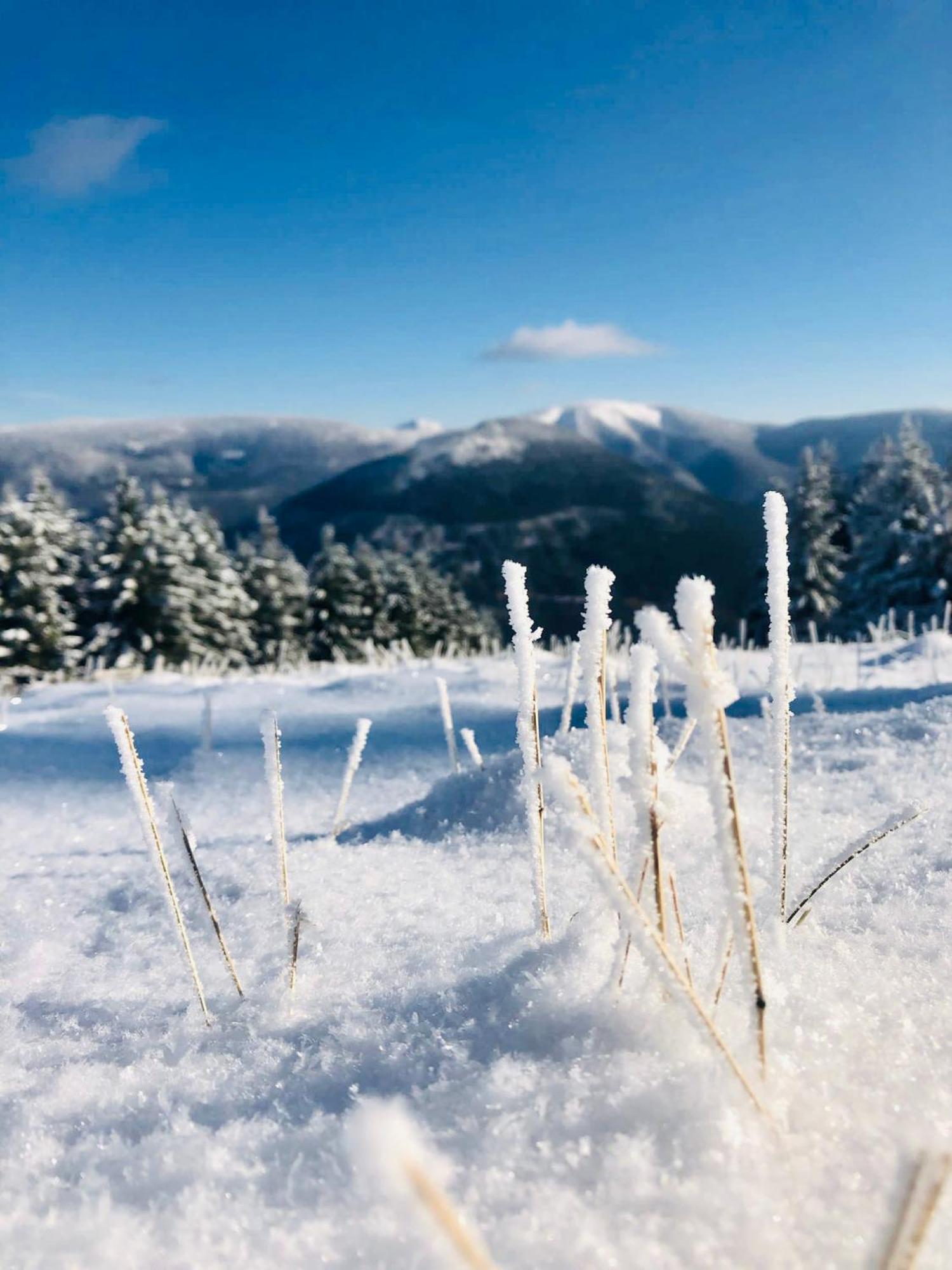 Panorama 19 Apartment Špindlerŭv Mlýn Екстериор снимка